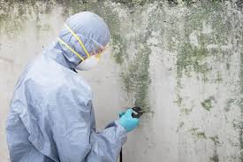 Best Emergency Mold Remediation  in Rahway, NJ